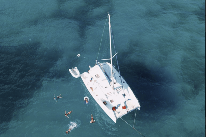 catamaran aerial view